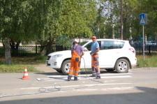 Рисуют зебру по новому ГОСТУ