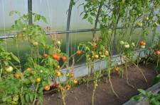 Усадьба Качаловых