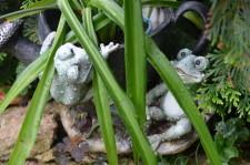 Усадьба Медянцевых3