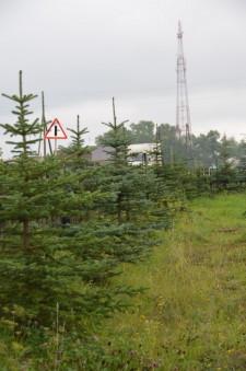 Усадьба Медянцевых9