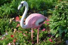 Усадьба Пирожковых5