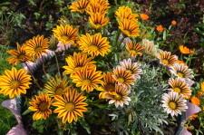 Усадьба Пирожковых6