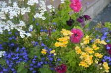 Усадьба Цветник Марины Зыковой19