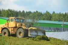 Заготовка кормов для животных