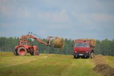 Идет заготовка сена в ООО «Бородулинское»
