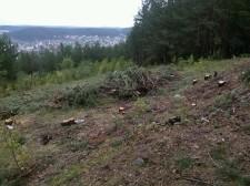 Место под вышку на бесеновке фото Василия Язовских (2)