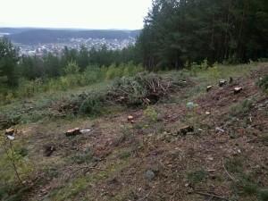 Место под вышку на бесеновке фото Василия Язовских (2)