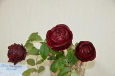 Усадьба урожай клуб садоводов