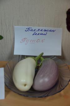 Усадьба урожай клуб садоводов2