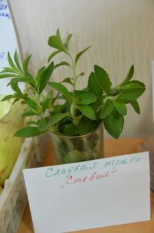 Усадьба урожай клуб садоводов3