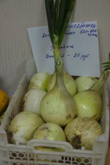 Усадьба урожай клуб садоводов4