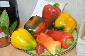 Усадьба урожай клуб садоводов5