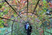 ботанический сад7