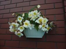 усадьба Октябрьский2