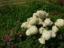 усадьба Октябрьский7