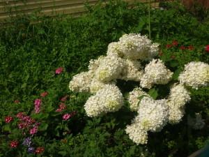 усадьба Октябрьский7