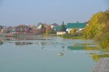 зеленая река7