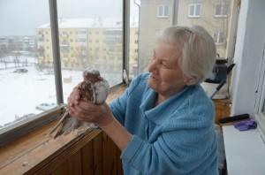 1 Бабушкаприютила голубя