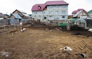 Скотный двор