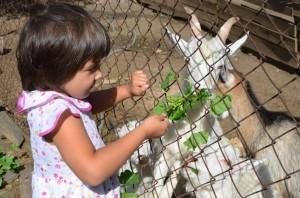 Оля Миронова