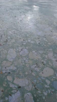 Сысертский пруд