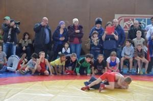 вольная борьба