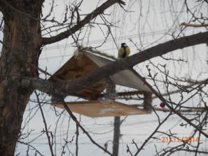 Кормушки для птиц10