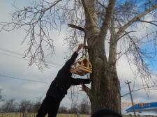 Кормушки для птиц8