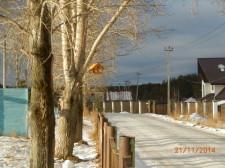 Кормушки для птиц9