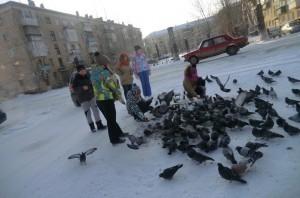 Воспитанники Центра детского технического творчества накормили пернатых друзей