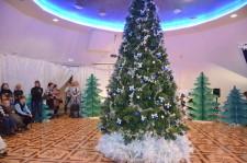 Депутатская елка2