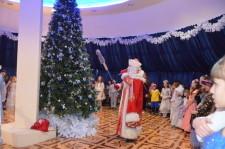 Депутатская елка8