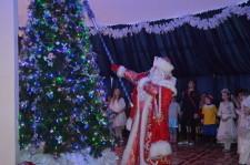 Депутатская елка9