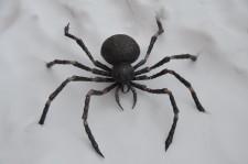 Кузнец Александр Антропов11