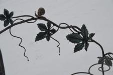 Кузнец Александр Антропов4