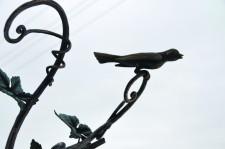 Кузнец Александр Антропов6