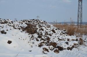 Гниет картофель