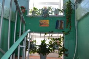 В подъезде стало уютно ТСЖ4