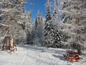 5 оленьи ручьи (5)