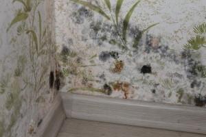 Чистые пруды