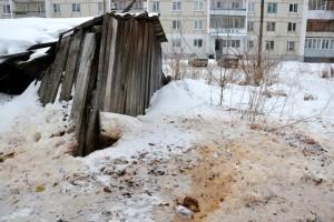 Испражнения у всех на виду