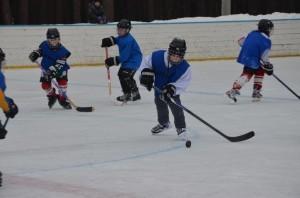 Фото Золотая шайба 006