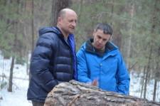 Рубят лес6