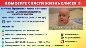 Реквизиты для перечисления денег в пользу Елисея