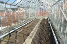 Усадьба теплая теплица 2