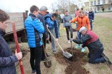 Аллея славы в Щелкуне4