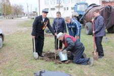 Аллея славы в Щелкуне5