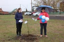 Аллея славы в Щелкуне