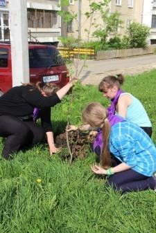 Сквер возле ГЦД