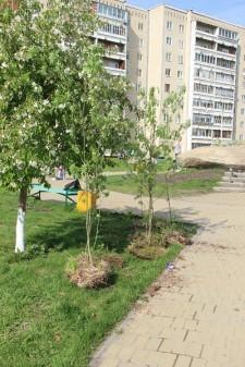 Сквер возле ГЦД